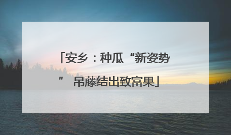 安乡：种瓜“新姿势” 吊藤结出致富果