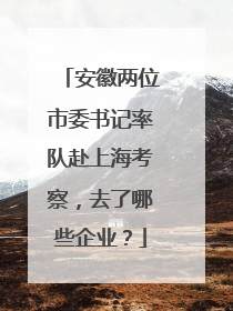 安徽两位市委书记率队赴上海考察，去了哪些企业？