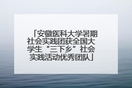 安徽医科大学暑期社会实践团获全国大学生“三下乡”社会实践活动优秀团队