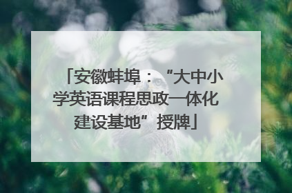 安徽蚌埠：“大中小学英语课程思政一体化建设基地”授牌