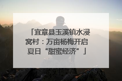 宜章县玉溪镇水浸窝村：万亩杨梅开启夏日“甜蜜经济”