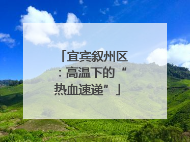 宜宾叙州区：高温下的“热血速递”