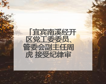 宜宾南溪经开区党工委委员、管委会副主任周虎 接受纪律审查和监察调查
