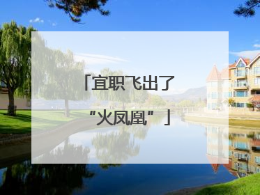 宜职飞出了“火凤凰”