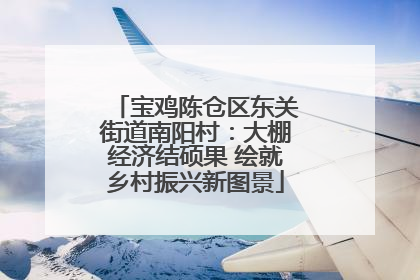 宝鸡陈仓区东关街道南阳村：大棚经济结硕果 绘就乡村振兴新图景