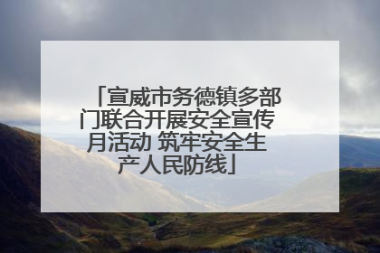 宣威市务德镇多部门联合开展安全宣传月活动 筑牢安全生产人民防线
