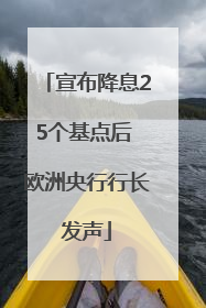 宣布降息25个基点后 欧洲央行行长发声