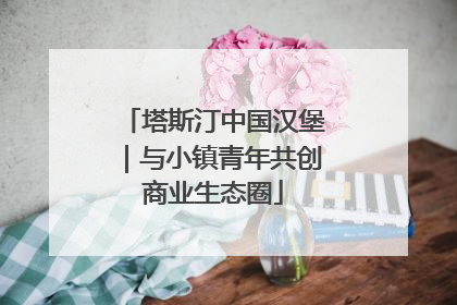 塔斯汀中国汉堡｜与小镇青年共创商业生态圈