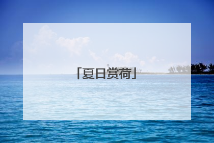 夏日赏荷