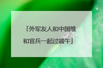 外军友人和中国维和官兵一起过端午