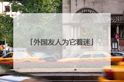 外国友人为它着迷