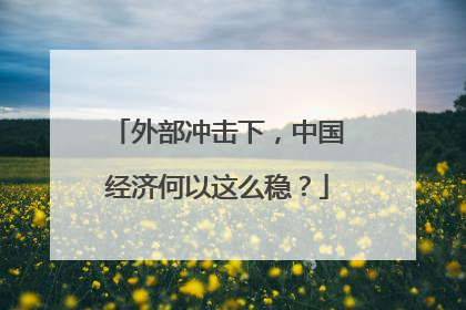 外部冲击下，中国经济何以这么稳？