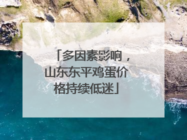 多因素影响，山东东平鸡蛋价格持续低迷