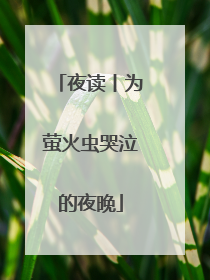夜读丨为萤火虫哭泣的夜晚