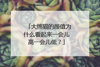 大熊猫的颜值为什么看起来一会儿高一会儿低？
