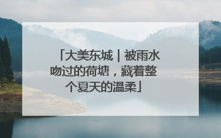 大美东城｜被雨水吻过的荷塘，藏着整个夏天的温柔