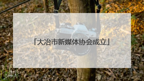 大冶市新媒体协会成立