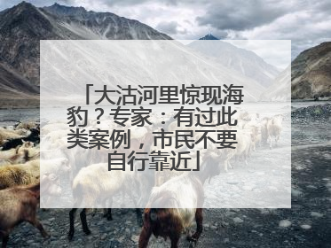 大沽河里惊现海豹？专家：有过此类案例，市民不要自行靠近