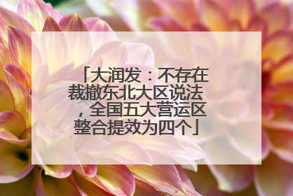 大润发：不存在裁撤东北大区说法，全国五大营运区整合提效为四个
