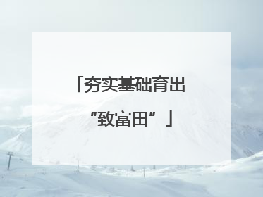 夯实基础育出“致富田”
