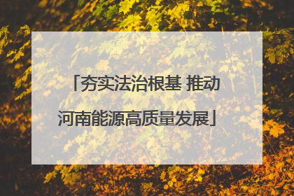 夯实法治根基 推动河南能源高质量发展