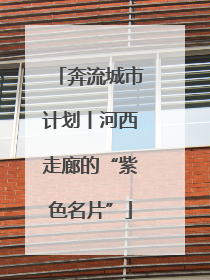 奔流城市计划丨河西走廊的“紫色名片”