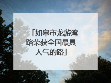 如皋市龙游湾路荣获全国最具人气的路