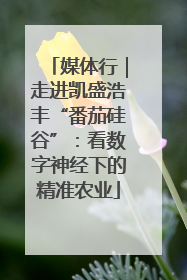 媒体行｜走进凯盛浩丰“番茄硅谷”：看数字神经下的精准农业