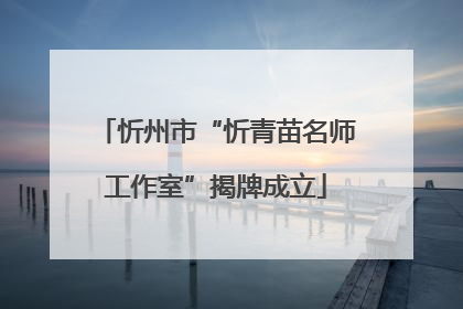 忻州市“忻青苗名师工作室”揭牌成立