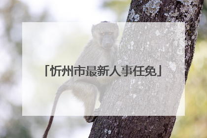 忻州市最新人事任免