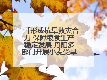 形成抗旱救灾合力 保障粮食生产稳定发展 丹阳多部门开展小麦受旱情况调研