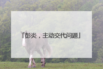 彭炎，主动交代问题