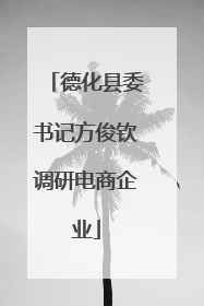 德化县委书记方俊钦调研电商企业