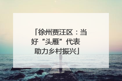 徐州贾汪区：当好“头雁”代表 助力乡村振兴