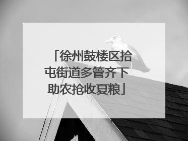 徐州鼓楼区拾屯街道多管齐下助农抢收夏粮
