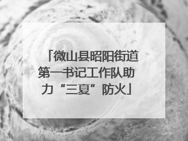 微山县昭阳街道第一书记工作队助力“三夏”防火