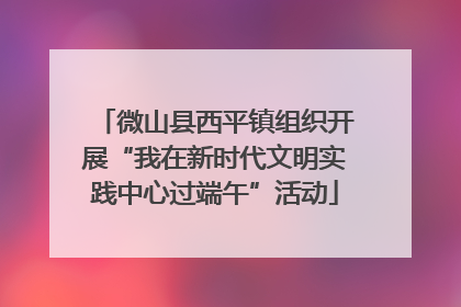 微山县西平镇组织开展“我在新时代文明实践中心过端午”活动