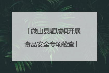 微山县驩城镇开展食品安全专项检查