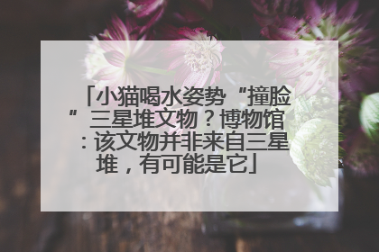 小猫喝水姿势“撞脸”三星堆文物？博物馆：该文物并非来自三星堆，有可能是它