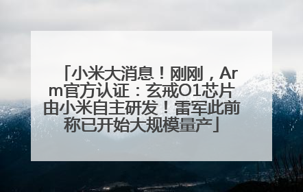 小米大消息！刚刚，Arm官方认证：玄戒O1芯片由小米自主研发！雷军此前称已开始大规模量产