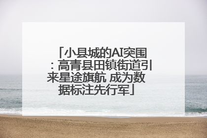 小县城的AI突围：高青县田镇街道引来星途旗航 成为数据标注先行军