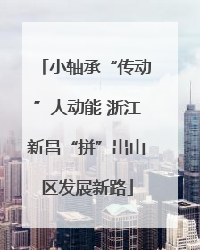 小轴承“传动”大动能 浙江新昌“拼”出山区发展新路