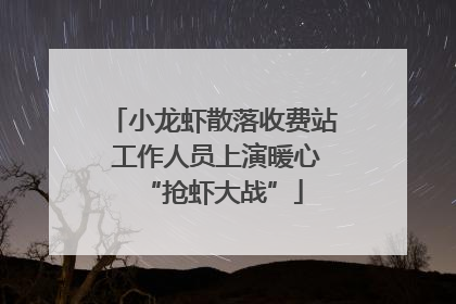 小龙虾散落收费站 工作人员上演暖心“抢虾大战”