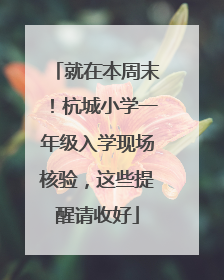 就在本周末！杭城小学一年级入学现场核验，这些提醒请收好
