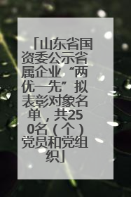 山东省国资委公示省属企业“两优一先”拟表彰对象名单，共250名（个）党员和党组织