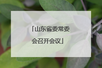 山东省委常委会召开会议