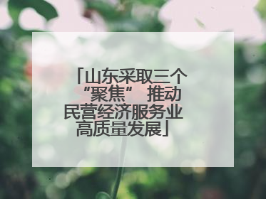 山东采取三个“聚焦” 推动民营经济服务业高质量发展