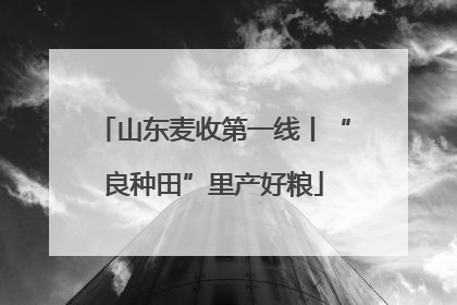山东麦收第一线丨“良种田”里产好粮