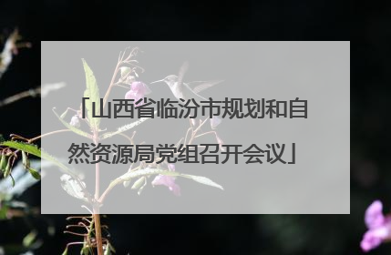 山西省临汾市规划和自然资源局党组召开会议