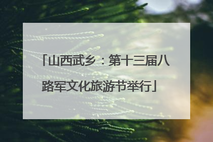 山西武乡：第十三届八路军文化旅游节举行